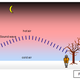 Illustration for article titled How an ice storm uproots a tree